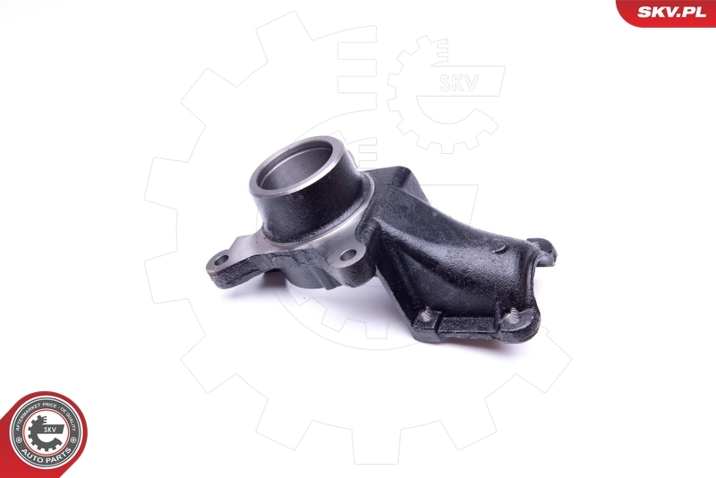 Steering Knuckle, wheel suspension